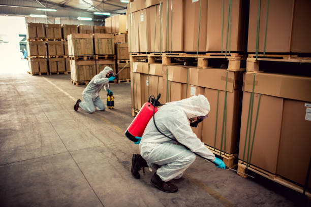 Best Wasp Removal Services  in Lynnwood, WA