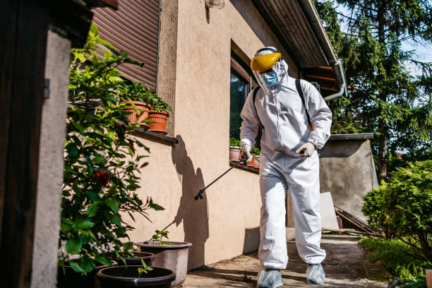 Insect Control in Lynnwood, WA