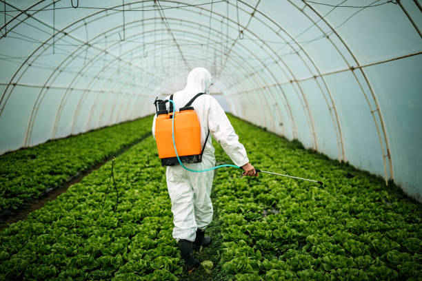 Best Best Pest Control Companies  in Lynnwood, WA
