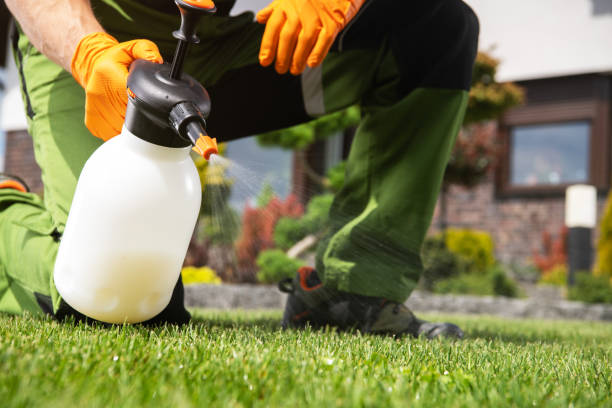 Best Termite Control Services  in Lynnwood, WA