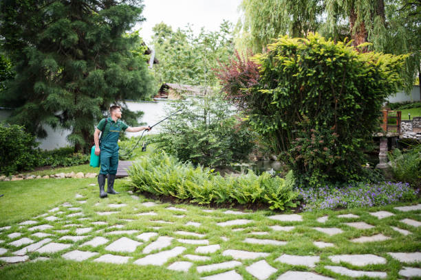 Best Pest Control Treatment  in Lynnwood, WA