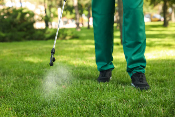 Best Rodent Control Near Me  in Lynnwood, WA
