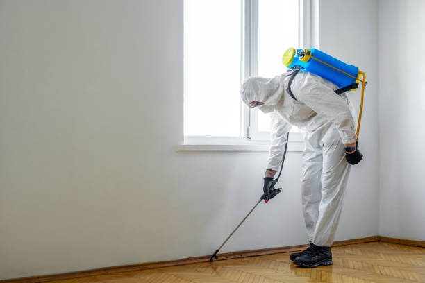 Best Exterminator Services  in Lynnwood, WA