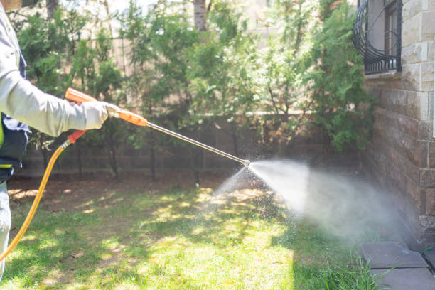 Best Best Pest Control Near Me  in Lynnwood, WA