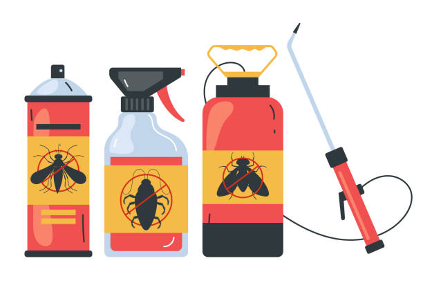 Trusted Lynnwood, WA Pest Control Experts