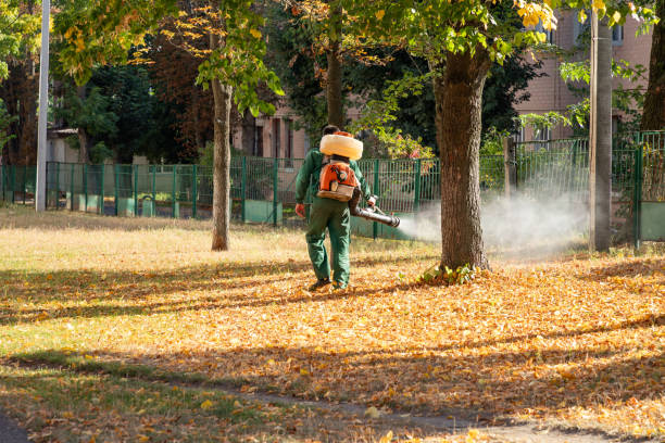 Best Pest Inspection Near Me  in Lynnwood, WA