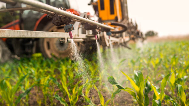 Best Mosquito Control Services  in Lynnwood, WA