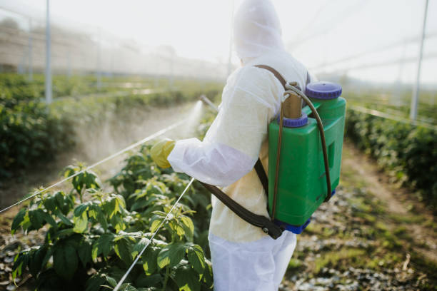 Best Best Pest Control Companies  in Lynnwood, WA